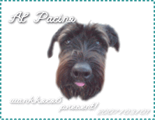 ワンコっこ　プレゼント♪