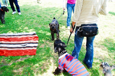 はじめまして～♪