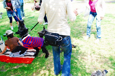 ご免なさーい(^^;