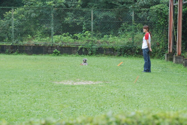 レノちゃん『マテ』