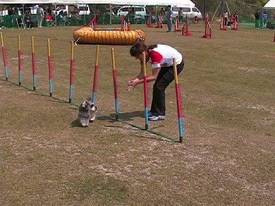 スラローム失敗