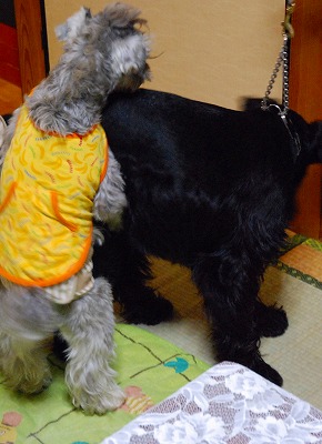 サーファー海くん♪