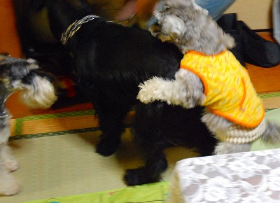 サーファー海くん♪