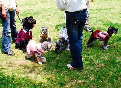 シュナmamaさんと初対面♪