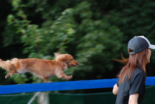 チッチ＆チッチママ♪