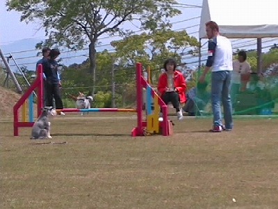 さー!!スタートです!!!