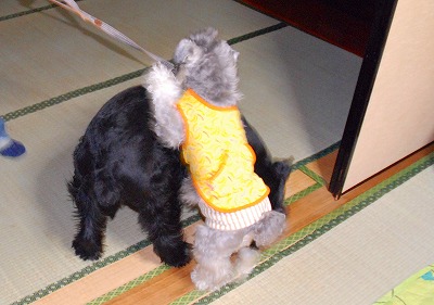 サーファー海くん♪