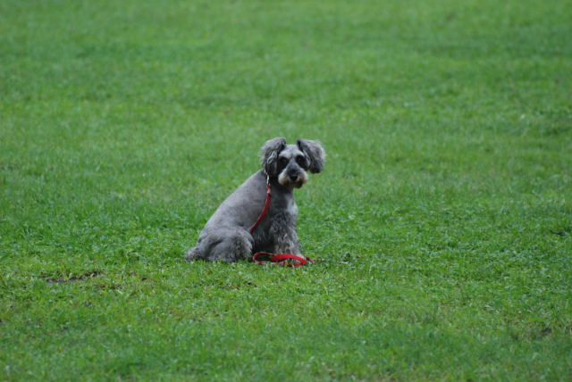 スワレマテ中！!