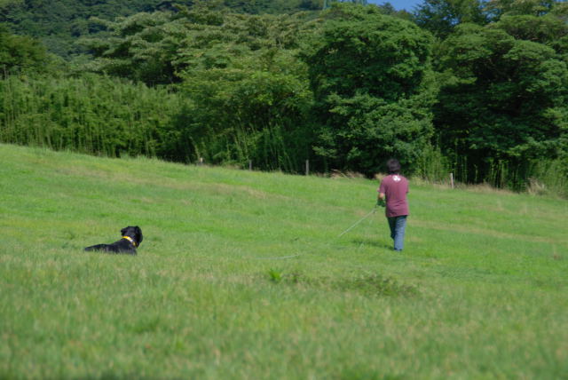 ゼファー君＆キューズ＆パパラッチ