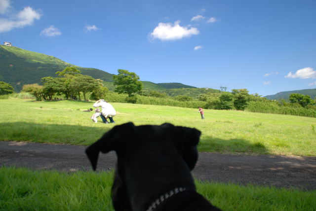 アルの視線の先には・・・