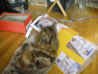 061228tonnel8.JPG