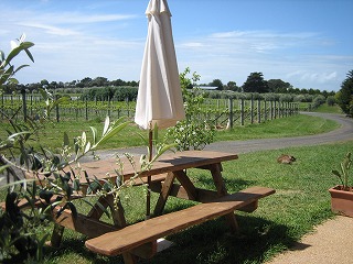 Purple Hen Winery