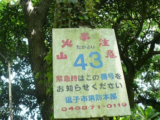 ４３番