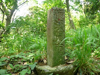 横須賀市