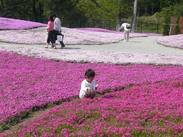 かわゆい