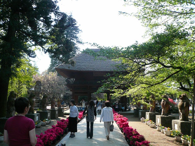 茂林寺