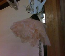 湿っているので干してね～