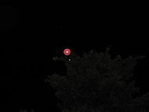 人魂ではありません。