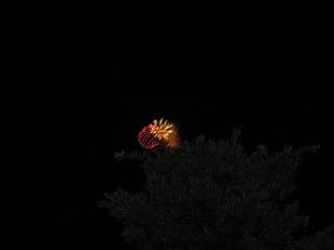 アップするほどでもないよね。