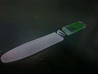 気に入ってたのにな~・・・(涙)