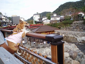 いい眺めよ～