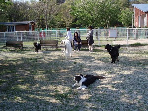 奥様方の井戸端会議中