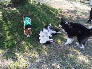 幼馴染とお姉ちゃん