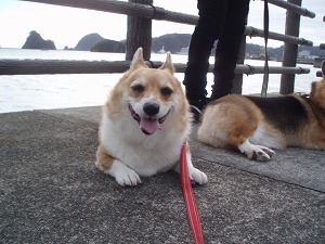 海風が気持ちいいよ