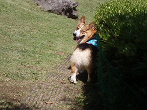 行くぜ～オレに付いて来いっ！！