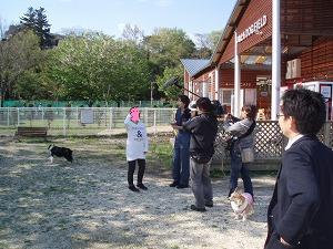 モモママ取材中　１