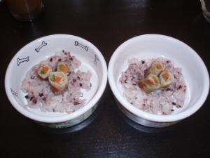 モモとツバサのランチ