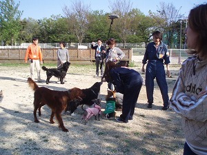 多犬種取材中？