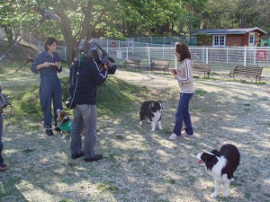 マリン＆アクア＆ルイママ取材中