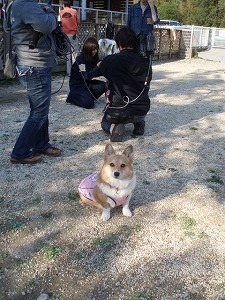 私は目立たないように・・・