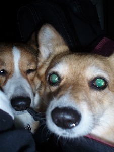 仲良しなのよ～