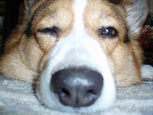 つ、疲れたぜぃ・・・