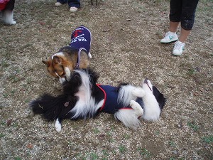 人前だよ～アクち～ん