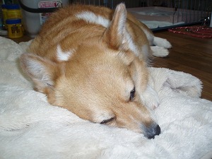 は～～夢の中へ～～