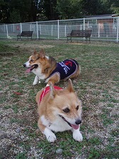 仲良く休憩です。