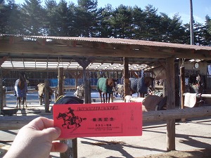 引き馬体験