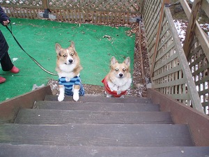 二人ともくりくり～
