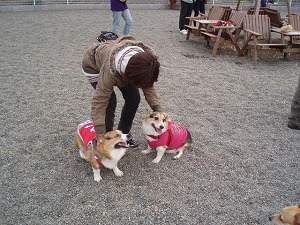 ツバサとこまちゃんと姑