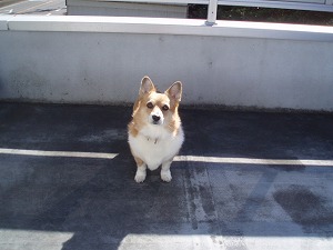 私、ショック～