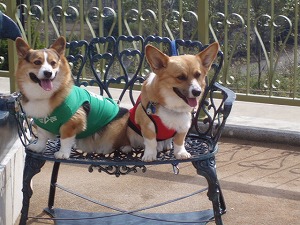 弟たちも仲良しに