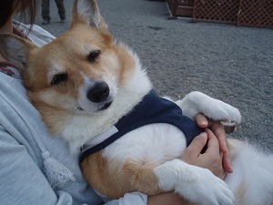 ママに抱っこでネムネム～