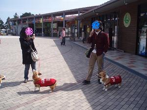 ルーカイパパ＆ママ