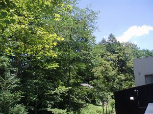 気持ちいい空、清々しい緑