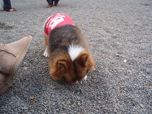 ホリホリ～その１