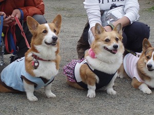 ラブラブでしょ！