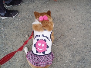 首元がワンポイント